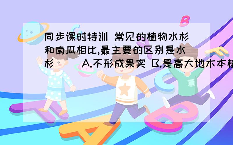 同步课时特训 常见的植物水杉和南瓜相比,最主要的区别是水杉（ ）A.不形成果实 B.是高大地木本植物 C.形成果实和种子 D.是常绿树,不落叶在现代生物分类系统中,最低的等级是（ ）,它也是