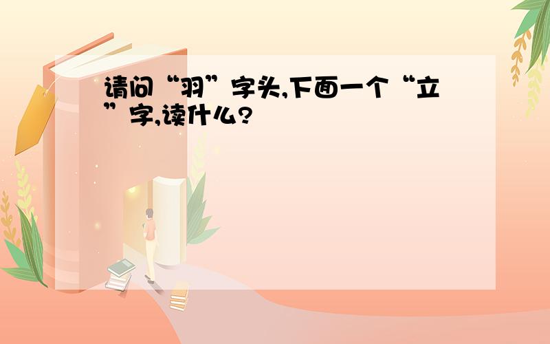 请问“羽”字头,下面一个“立”字,读什么?