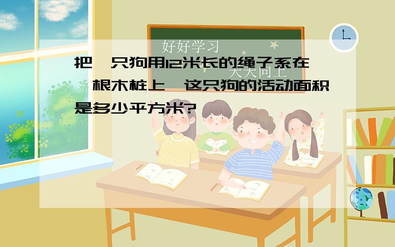 把一只狗用12米长的绳子系在一根木桩上,这只狗的活动面积是多少平方米?