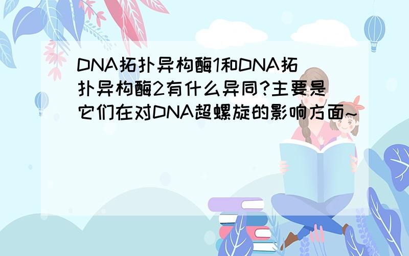 DNA拓扑异构酶1和DNA拓扑异构酶2有什么异同?主要是它们在对DNA超螺旋的影响方面~