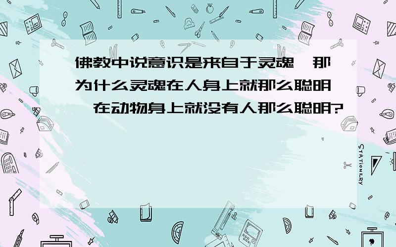 佛教中说意识是来自于灵魂,那为什么灵魂在人身上就那么聪明,在动物身上就没有人那么聪明?