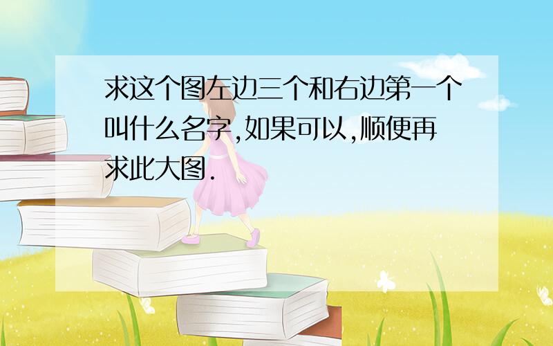 求这个图左边三个和右边第一个叫什么名字,如果可以,顺便再求此大图.