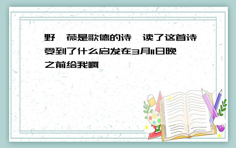 野蔷薇是歌德的诗,读了这首诗受到了什么启发在3月11日晚之前给我啊