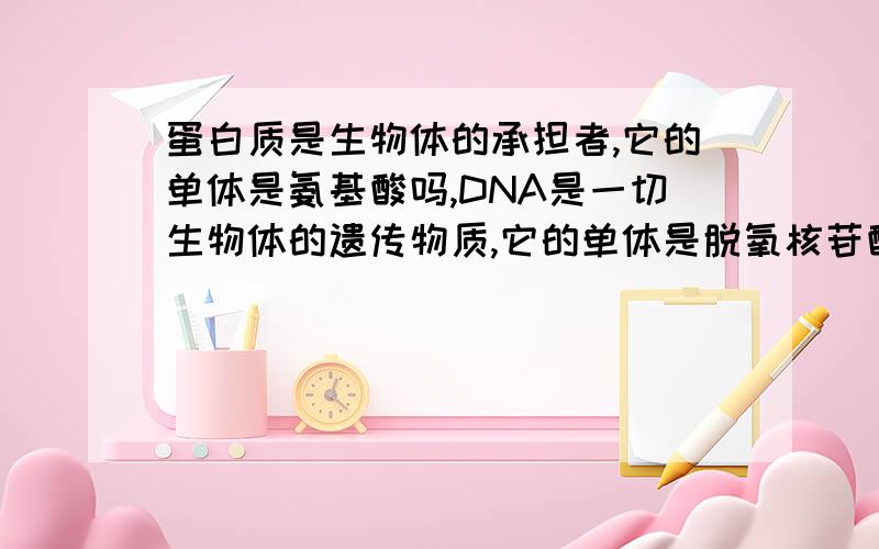 蛋白质是生物体的承担者,它的单体是氨基酸吗,DNA是一切生物体的遗传物质,它的单体是脱氧核苷酸吗