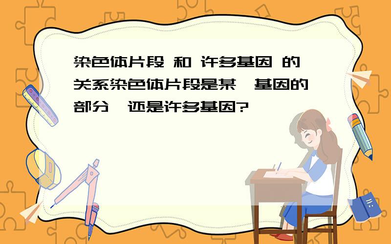 染色体片段 和 许多基因 的关系染色体片段是某一基因的一部分,还是许多基因?