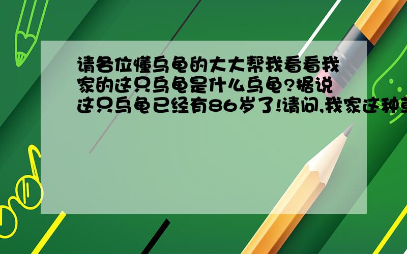 请各位懂乌龟的大大帮我看看我家的这只乌龟是什么乌龟?据说这只乌龟已经有86岁了!请问,我家这种草龟除了吃生肉,香蕉,还可以喂什么食物?