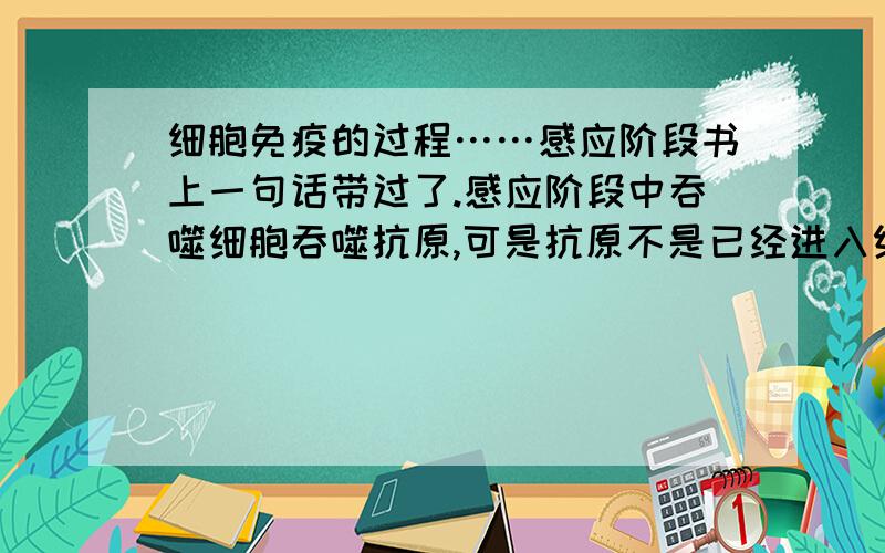 细胞免疫的过程……感应阶段书上一句话带过了.感应阶段中吞噬细胞吞噬抗原,可是抗原不是已经进入细胞中了吗?这里的抗原是指细胞中的还是在细胞外的?再着,靶细胞外不是也有抗原决定