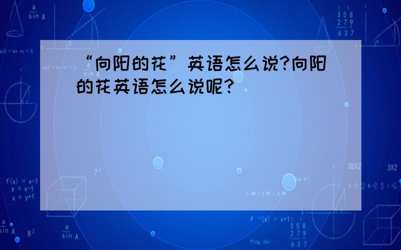 “向阳的花”英语怎么说?向阳的花英语怎么说呢?