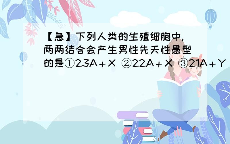 【急】下列人类的生殖细胞中,两两结合会产生男性先天性愚型的是①23A＋X ②22A＋X ③21A＋Y ④22A＋YA．①和③ B．②和③ C．①和④ D．②和④