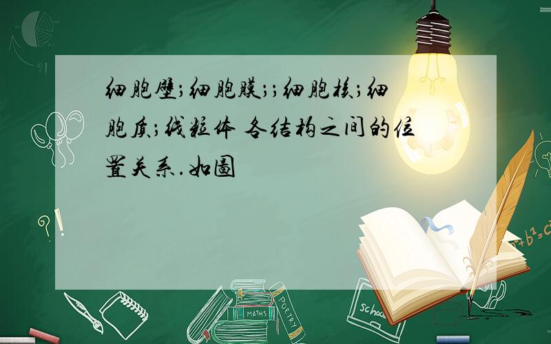 细胞壁；细胞膜；；细胞核；细胞质；线粒体 各结构之间的位置关系.如图