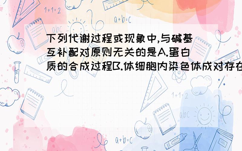 下列代谢过程或现象中,与碱基互补配对原则无关的是A.蛋白质的合成过程B.体细胞内染色体成对存在C.遗传物质的复制、转录及翻译D.DNA分子结构的稳定性能具体说明吗