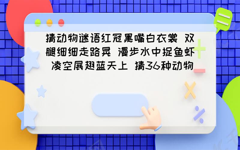 猜动物谜语红冠黑嘴白衣裳 双腿细细走路晃 漫步水中捉鱼虾 凌空展翅蓝天上 猜36种动物