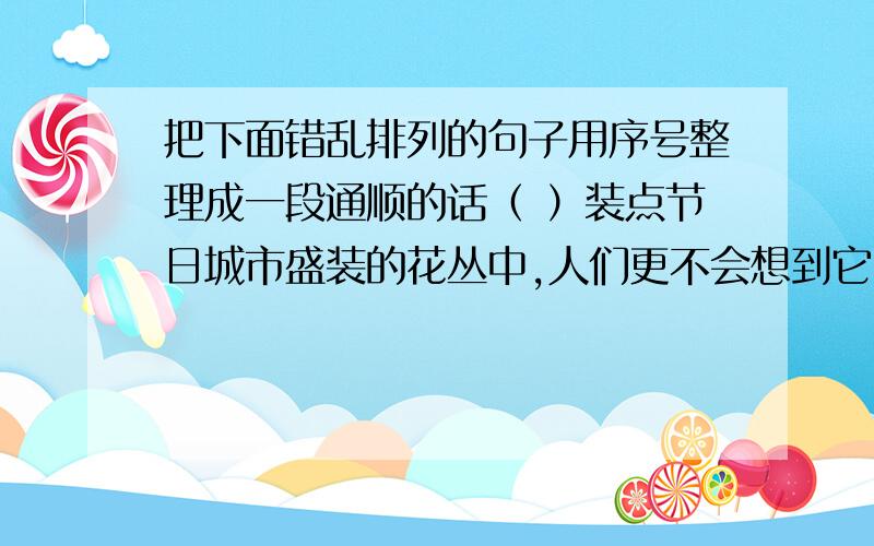 把下面错乱排列的句子用序号整理成一段通顺的话（ ）装点节日城市盛装的花丛中,人们更不会想到它······（ ）在姹紫嫣红的百花园中,它,确实太平凡,太普通了.（ ）既没有牡丹的艳容,