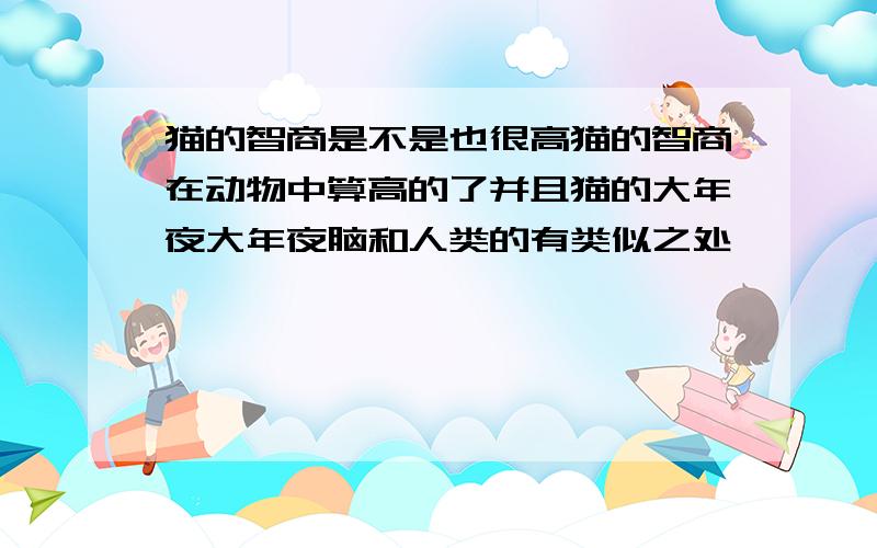 猫的智商是不是也很高猫的智商在动物中算高的了并且猫的大年夜大年夜脑和人类的有类似之处