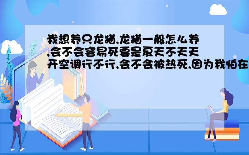 我想养只龙猫,龙猫一般怎么养,会不会容易死要是夏天不天天开空调行不行,会不会被热死,因为我怕在姥姥家不让我天天开空调……还有龙猫一般吃什么啊,怎么洗澡……因为怕冬天太热,要是