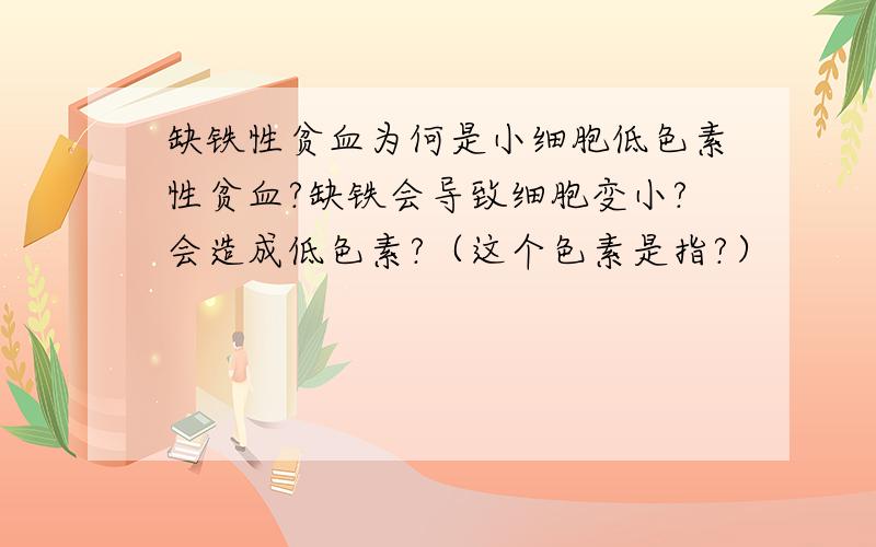 缺铁性贫血为何是小细胞低色素性贫血?缺铁会导致细胞变小?会造成低色素?（这个色素是指?）