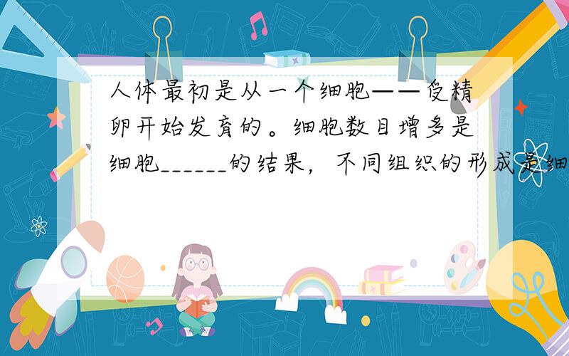 人体最初是从一个细胞——受精卵开始发育的。细胞数目增多是细胞______的结果，不同组织的形成是细胞是____的结果，