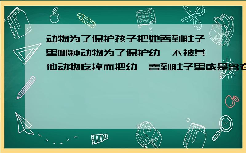 动物为了保护孩子把她吞到肚子里哪种动物为了保护幼崽不被其他动物吃掉而把幼崽吞到肚子里或是含在嘴里