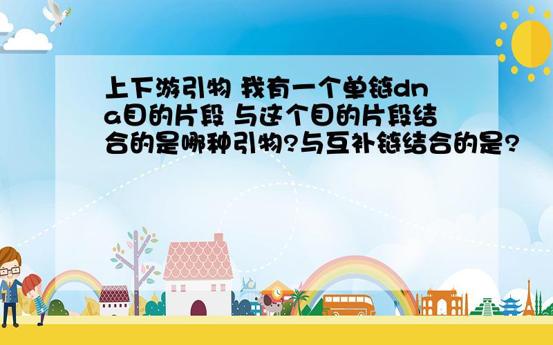 上下游引物 我有一个单链dna目的片段 与这个目的片段结合的是哪种引物?与互补链结合的是?