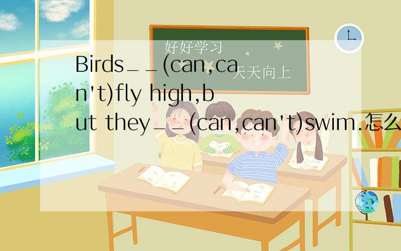 Birds__(can,can't)fly high,but they__(can,can't)swim.怎么填