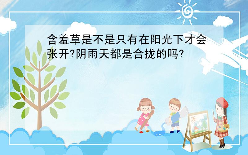 含羞草是不是只有在阳光下才会张开?阴雨天都是合拢的吗?