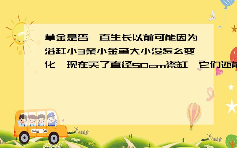 草金是否一直生长以前可能因为浴缸小3条小金鱼大小没怎么变化,现在买了直径50cm瓷缸,它们还能长吗?鱼有没有老小哪一说?