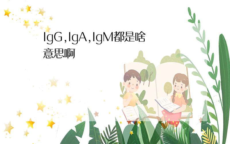 IgG,IgA,IgM都是啥意思啊