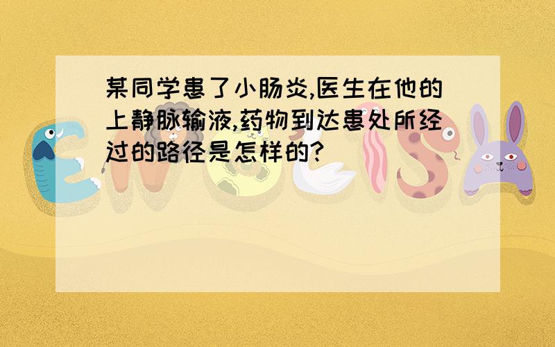 某同学患了小肠炎,医生在他的上静脉输液,药物到达患处所经过的路径是怎样的?