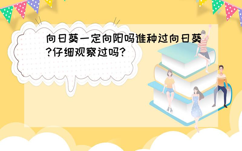 向日葵一定向阳吗谁种过向日葵?仔细观察过吗?