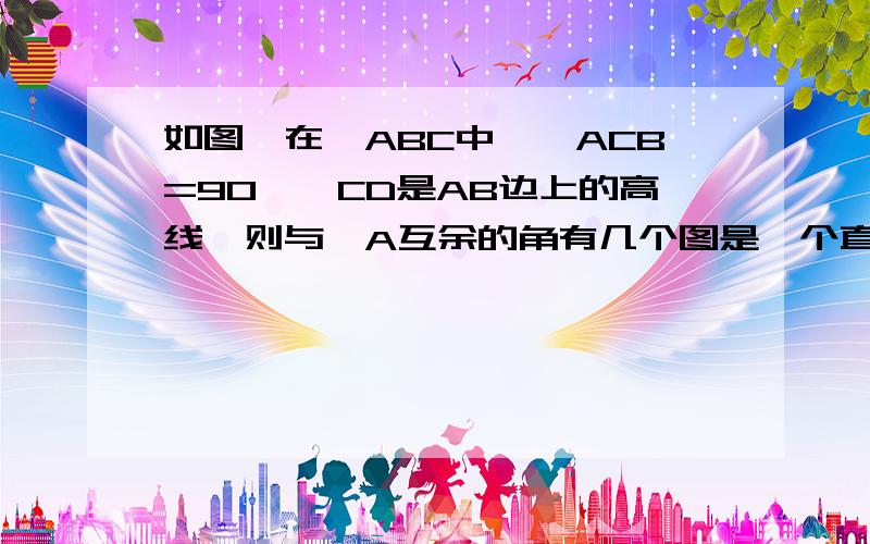 如图,在△ABC中,∠ACB=90°,CD是AB边上的高线,则与∠A互余的角有几个图是一个直角三角形.