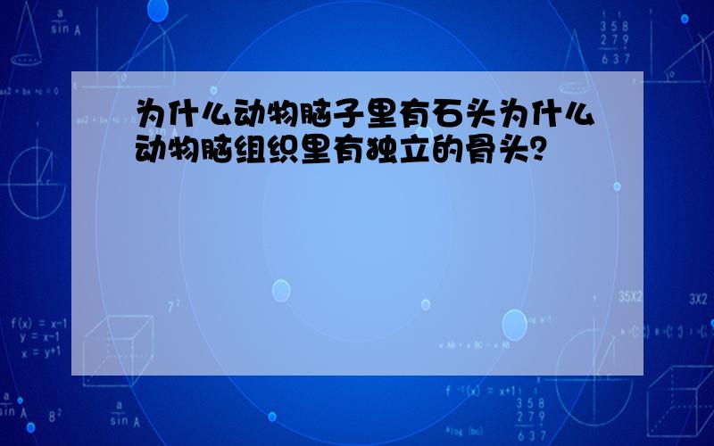 为什么动物脑子里有石头为什么动物脑组织里有独立的骨头？