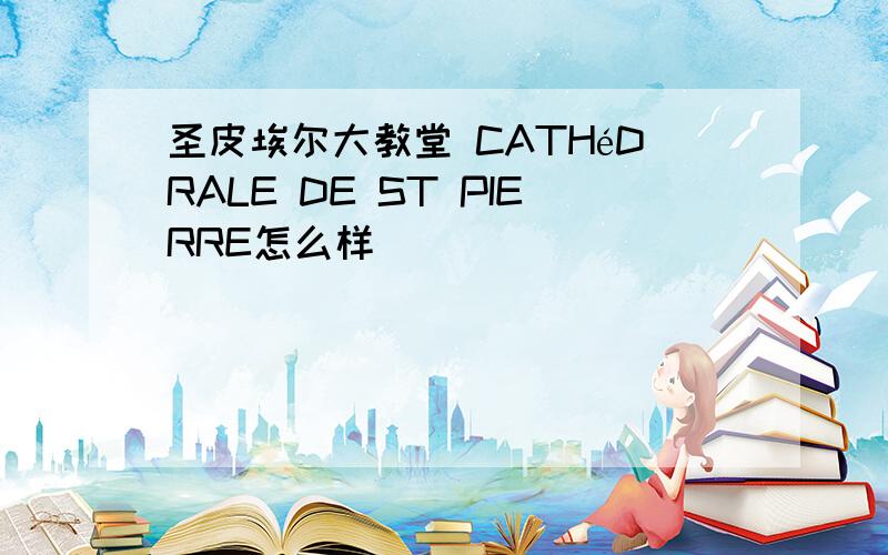 圣皮埃尔大教堂 CATHéDRALE DE ST PIERRE怎么样