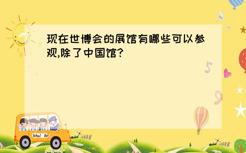 现在世博会的展馆有哪些可以参观,除了中国馆?