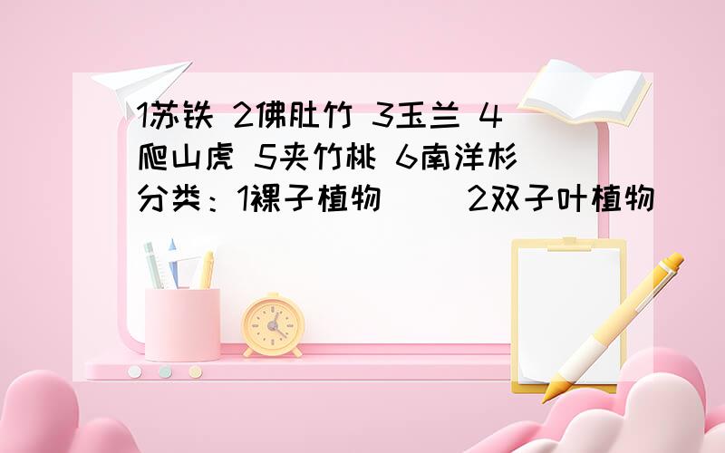 1苏铁 2佛肚竹 3玉兰 4爬山虎 5夹竹桃 6南洋杉 分类：1裸子植物（ ）2双子叶植物（ )3单子叶植物（