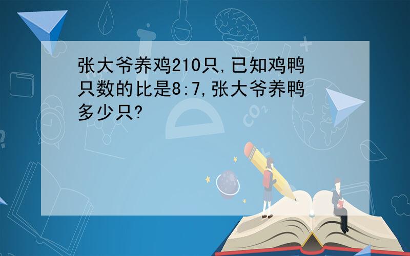 张大爷养鸡210只,已知鸡鸭只数的比是8:7,张大爷养鸭多少只?