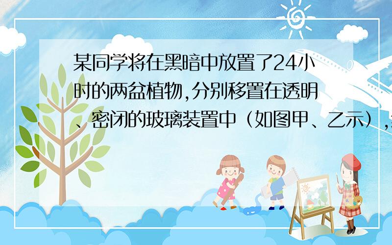 某同学将在黑暗中放置了24小时的两盆植物,分别移置在透明、密闭的玻璃装置中（如图甲、乙示）,然后把甲乙两装置分别放在天平的左右两盘上,此时指针指在分度盘中央再放在阳光下照射4