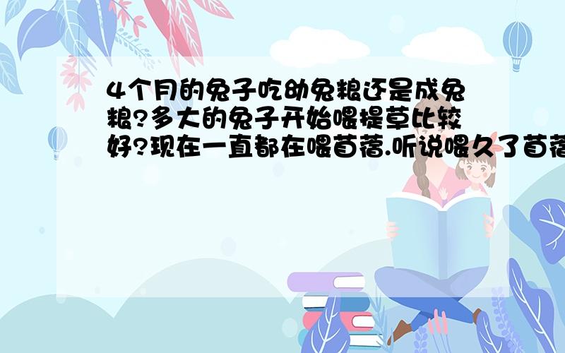 4个月的兔子吃幼兔粮还是成兔粮?多大的兔子开始喂提草比较好?现在一直都在喂苜蓿.听说喂久了苜蓿,TT就不适应提草了.可以一直喂苜蓿不喂提草吗?对TT身体会有什么影响呢?