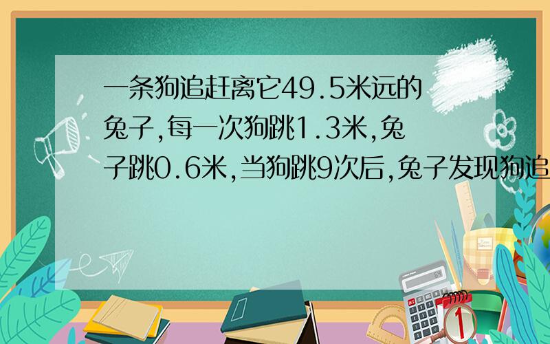 一条狗追赶离它49.5米远的兔子,每一次狗跳1.3米,兔子跳0.6米,当狗跳9次后,兔子发现狗追捕它,才开始跳,狗跳多少次才能追上兔子?（列方程式解决）