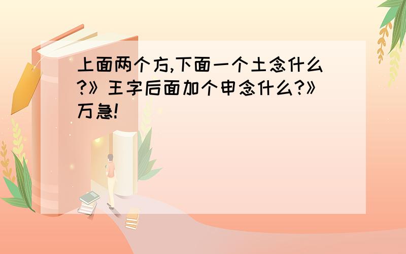 上面两个方,下面一个土念什么?》王字后面加个申念什么?》万急!