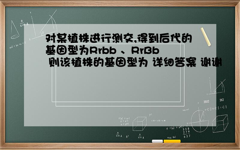 对某植株进行测交,得到后代的基因型为Rrbb 、RrBb 则该植株的基因型为 详细答案 谢谢