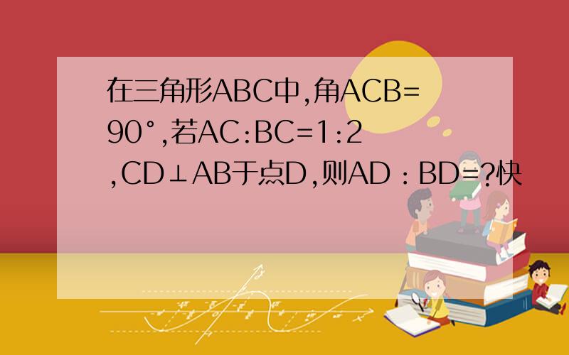 在三角形ABC中,角ACB=90°,若AC:BC=1:2,CD⊥AB于点D,则AD：BD=?快