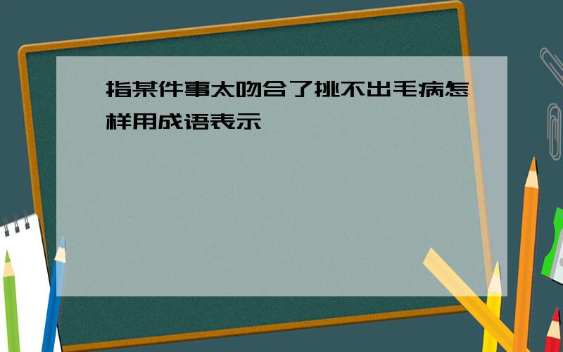 指某件事太吻合了挑不出毛病怎样用成语表示