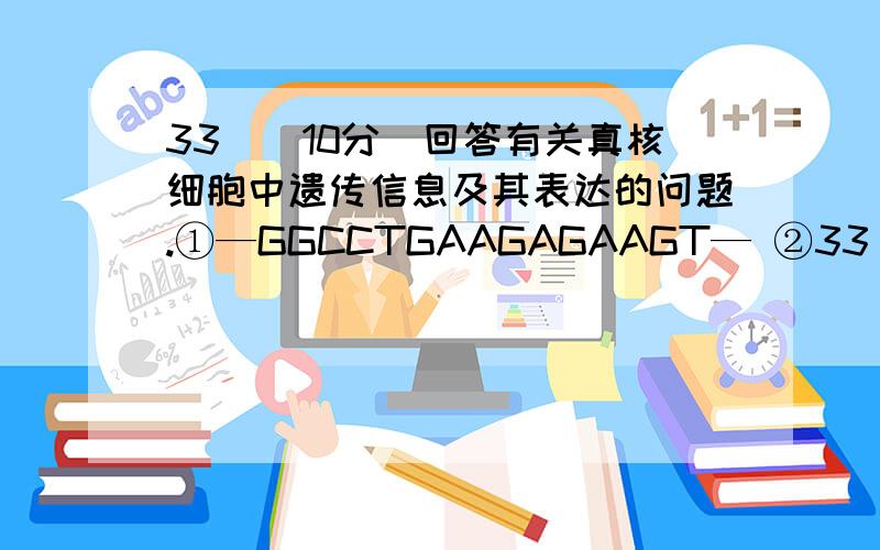 33．（10分）回答有关真核细胞中遗传信息及其表达的问题.①—GGCCTGAAGAGAAGT— ②33．（10分）回答有关真核细胞中遗传信息及其表达的问题.①—GGCCTGAAGAGAAGT—②—CCGGACTTCTCTTCA—（3）已知某基