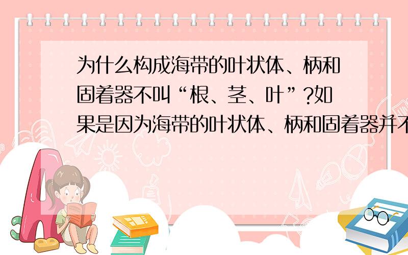 为什么构成海带的叶状体、柄和固着器不叫“根、茎、叶”?如果是因为海带的叶状体、柄和固着器并不完全具有根茎叶所相对应的功能，那它们之间差在哪儿了？