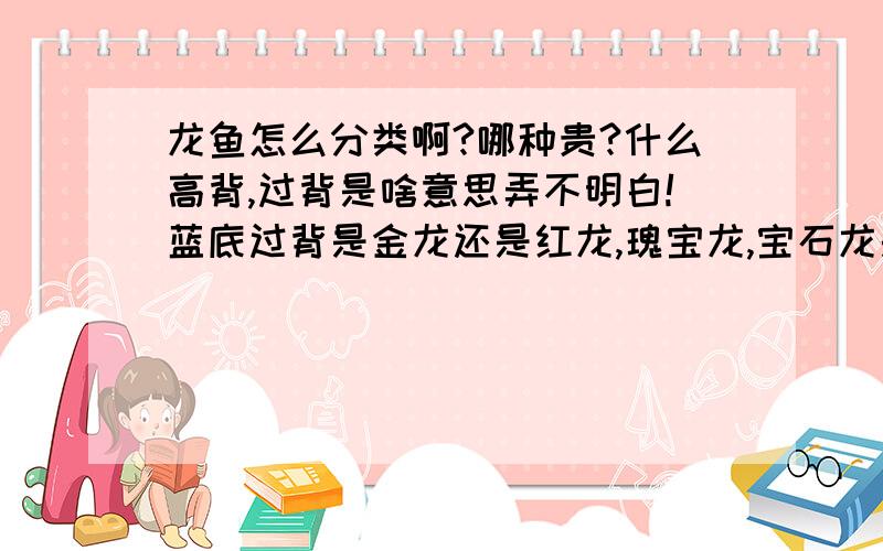 龙鱼怎么分类啊?哪种贵?什么高背,过背是啥意思弄不明白!蓝底过背是金龙还是红龙,瑰宝龙,宝石龙是红的还是绿的啊?从颜色上我就只认识红龙,金龙好像也不是金色的吧!