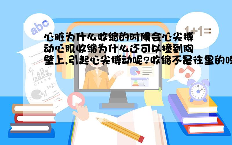 心脏为什么收缩的时候会心尖搏动心肌收缩为什么还可以撞到胸壁上,引起心尖搏动呢?收缩不是往里的吗?