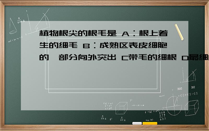 植物根尖的根毛是 A：根上着生的细毛 B：成熟区表皮细胞的一部分向外突出 C带毛的细根 D最细的纤毛