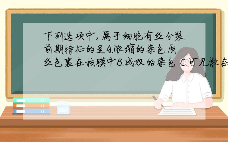 下列选项中,属于细胞有丝分裂前期特征的是A．浓缩的染色质丝包裹在核膜中B．成双的染色 C．可见散在细胞质中的成对的染色单体D．细胞核区域有盘绕的细长染色体,未见完整的核膜和核仁