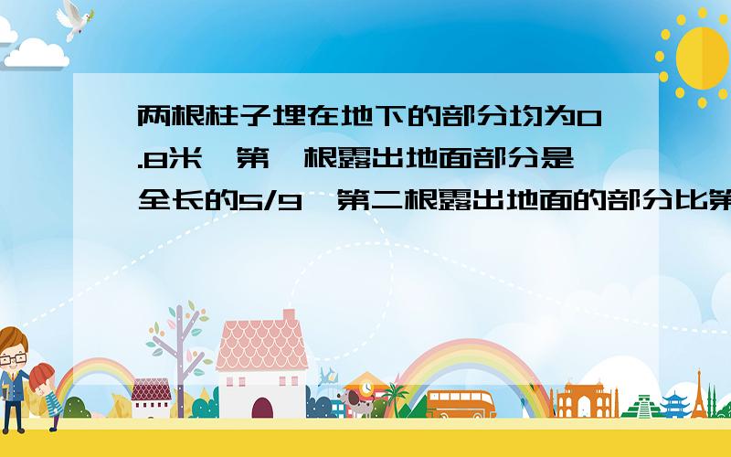 两根柱子埋在地下的部分均为0.8米,第一根露出地面部分是全长的5/9,第二根露出地面的部分比第一根的全长多20%,第二根柱子长多少米?列式!