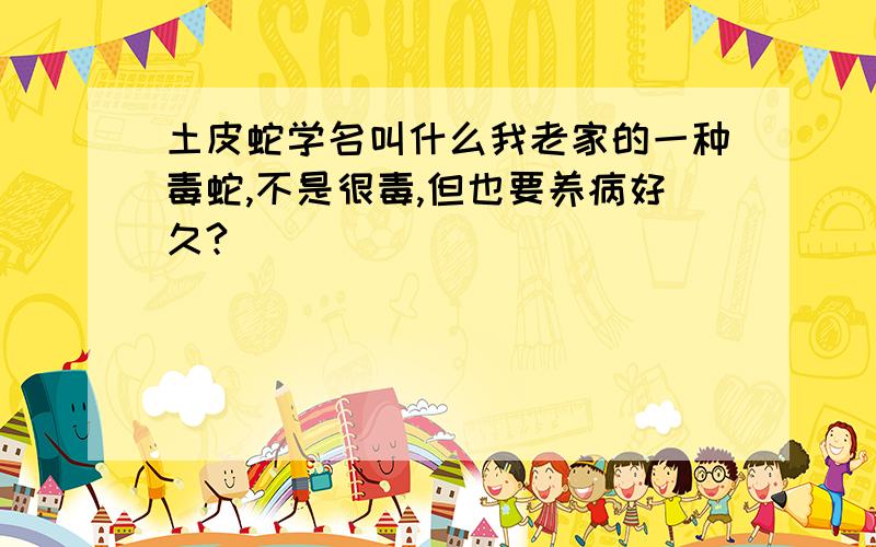 土皮蛇学名叫什么我老家的一种毒蛇,不是很毒,但也要养病好久?